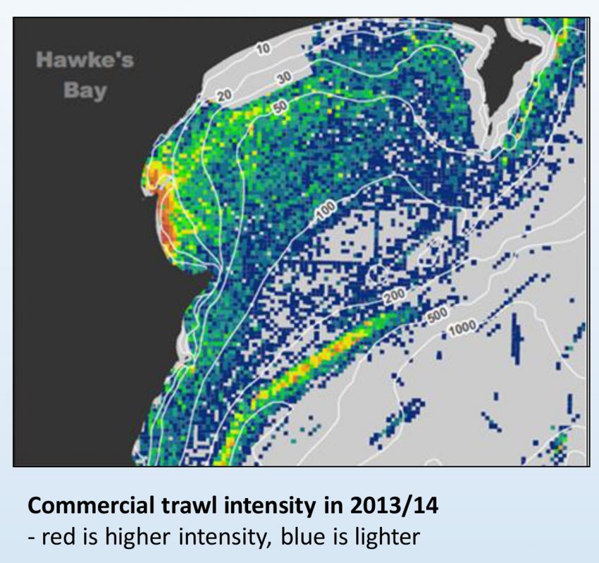 hawke-bay-trawl-heat-map-mpi-jul15