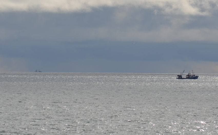 trawling-taken-from-mount-maunganui-beach-sep14