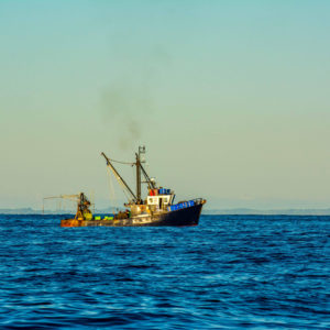 A century of trawling debates