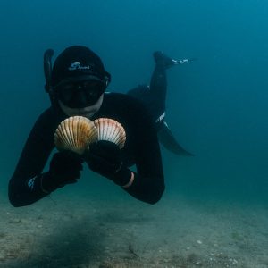 Speak up for no scallop dredging