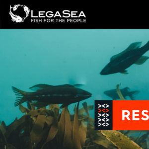 LegaSea newsletter #101 - Looking forward to a better 2021