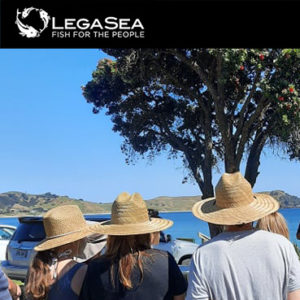 LegaSea newsletter #111 - Coromandel scallop closure a win for the people
