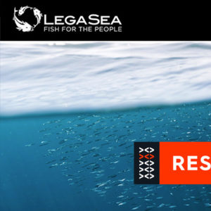 LegaSea newsletter #98 - Counting Down and Gearing up