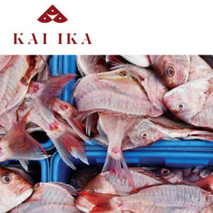 Kai ika newsletter update - The Kai Ika Project keeps rolling on