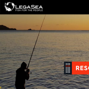 LegaSea newsletter #114 - Have your say on daily bag limits