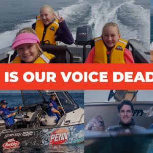 Act now to stop us losing our voice!