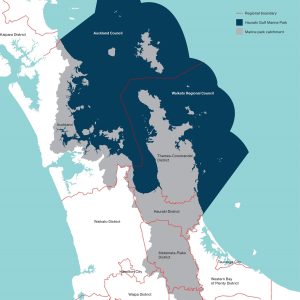 Proposed Hauraki Gulf marine protection - a farce?