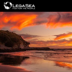 LegaSea newsletter 126 - A spring in our step