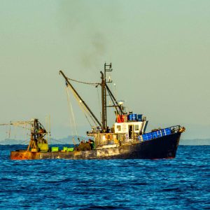 Tell the minister investing in bottom trawling is not OK