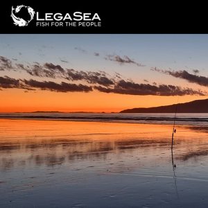 LegaSea newsletter #135 - Your voice is really important