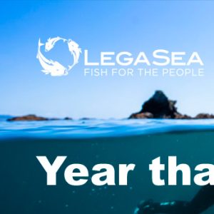 LegaSea newsletter #141: The Year That Was 2023