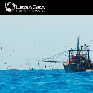 LegaSea newsletter #145 - The environmental cost of destructive fishing methods exposed