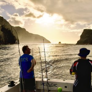 How much do we catch?