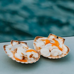 Let's talk about scallops Let's talk about scallops