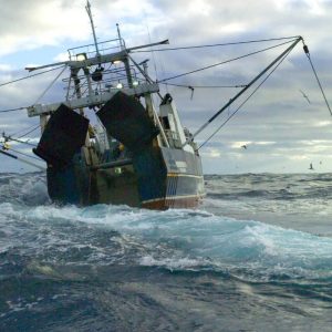 “Trawling and dredging in the Hauraki Gulf is fine because it’s always been mud.” – Some guy on Facebook