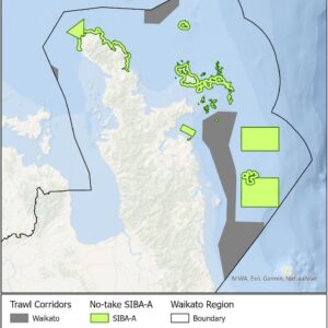 Wave of support for restricting commercial fishing in Coromandel
