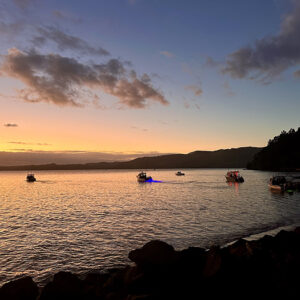 Reform of fisheries, is licensing next?