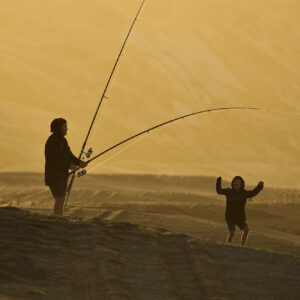 Looking after what we love Looking after what we love