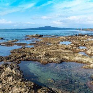 Barren rockpools demand bold action