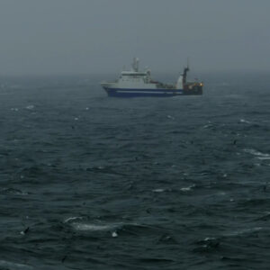 A fine is meant to change behaviour. At sea, that principle is being abandoned.