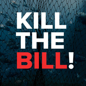 MEDIA RELEASE: Fisheries Amendment Bill more alarming than legalising the harvest of baby snapper MEDIA RELEASE: Fisheries Amendment Bill more alarming than legalising the harvest of baby snapper