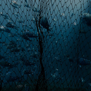 Kill the Bill - Write to your local MP Kill the Bill - Write to your local MP