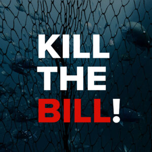 What are LegaSea's main concerns with the Fisheries Amendment Bill?