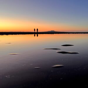 It's not too late to restore our rockpools