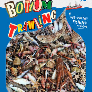 QMS series #3 - Entrenching bottom trawling BT-QMS